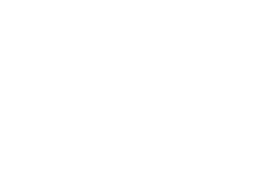 951 Pro Solutions logo